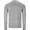 ENDURANCE Abdon Melange langarm Trainingsshirt Herren