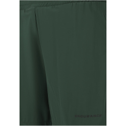 ENDURANCE Dyne Trainingsshorts Herren