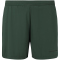ENDURANCE Dyne Trainingsshorts Herren