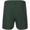 ENDURANCE Dyne Trainingsshorts Herren