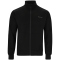 ENDURANCE Loweer Sweatjacke Herren