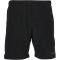 ENDURANCE Grosseto 2in1 Shorts Herren