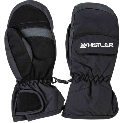 Whistler Wido Fäustlinge Herren 1001 - black 5