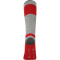 2er Pack Whistler Corsicana Skisocken 4367 - true red 35-38