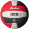 10er Ballpaket Baden ACE Volleyball weiß/rot/schwarz 5