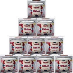 10er Ballpaket Wilson Hawaii Beach Volleyball und Frisbee...