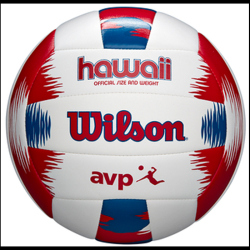 10er Ballpaket Wilson Hawaii Beach Volleyball und Frisbee...