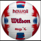 10er Ballpaket Wilson Hawaii Beach Volleyball und Frisbee Set 39043 - weiss 5