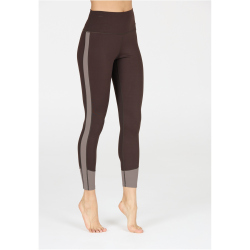 Athlecia Aspasia Color Block Leggings Damen 1294 - chocolate torte 38