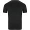 ENDURANCE Power V2 Trainingsshirt Herren 1001 - black S