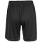 ENDURANCE Sesto Trainingsshorts Herren 1001 - black S