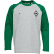 hummel SV Werder Bremen Loose Bee Fan-Langarmshirt 2025/26 Kinder 6801 - abundant green 110/116