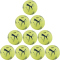 10er Ballpaket PUMA Nova Lite Handball 01 - fizzy apple/gray skies I
