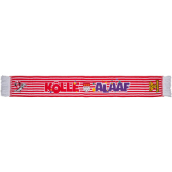 hummel 1. FC Köln Karneval Fan-Schal 2025/26 3062 -...