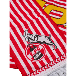 hummel 1. FC Köln Karneval Fan-Schal 2025/26 3062 -...