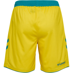 hummel 1. FC Köln Karneval Torwartshorts 2025/26