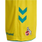 hummel 1. FC Köln Karneval Torwartshorts 2025/26