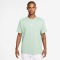 NIKE Sportswear Premium Essentials T-Shirt Herren 394 - barely green M