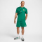 NIKE Club Knit Sweatshorts Herren 365 - malachite/white S