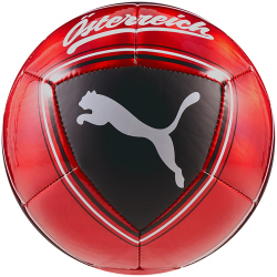 PUMA ÖFB Österreich Culture Fußball...