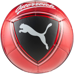 PUMA ÖFB Österreich Culture Fußball...