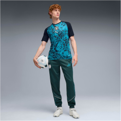 PUMA Manchester City FC Aufwärmshirt 2025/26 Herren