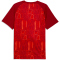 PUMA Ghana Aufwärmshirt 2026 Herren