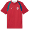 PUMA Portugal Trainingsshirt 2026 Herren