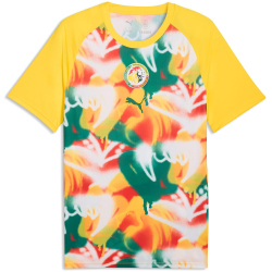 PUMA FSF Senegal Aufwärmshirt 2026 Herren