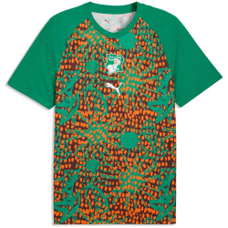 PUMA Elfenbeinküste Aufwärmshirt 2026 Herren