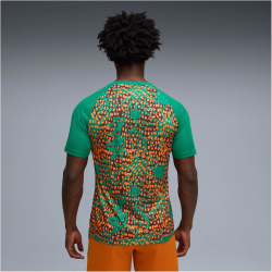 PUMA Elfenbeinküste Aufwärmshirt 2026 Herren