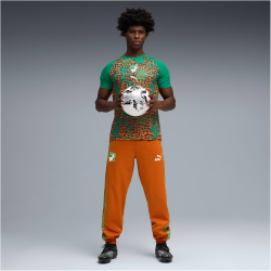 PUMA Elfenbeinküste Aufwärmshirt 2026 Herren