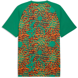 PUMA Elfenbeinküste Aufwärmshirt 2026 Herren