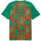 PUMA Elfenbeinküste Aufwärmshirt 2026 Herren
