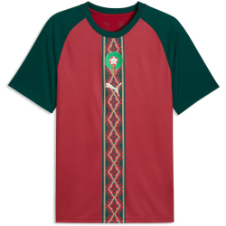 PUMA FRMF Marokko Aufwärmshirt 2026 Herren