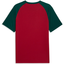 PUMA FRMF Marokko Aufwärmshirt 2026 Herren