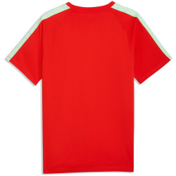 PUMA SFV Schweiz King T-Shirt Herren