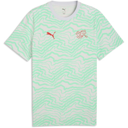 PUMA SFV Schweiz FtblCulture Allover Print T-Shirt Herren
