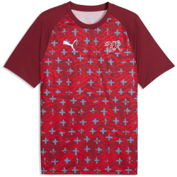 PUMA SFV Schweiz Aufwärmshirt 2026 Herren