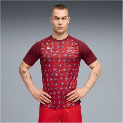 PUMA SFV Schweiz Aufwärmshirt 2026 Herren