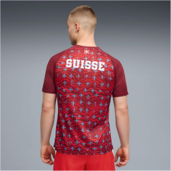 PUMA SFV Schweiz Aufwärmshirt 2026 Herren