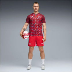 PUMA SFV Schweiz Aufwärmshirt 2026 Herren