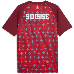 PUMA SFV Schweiz Aufwärmshirt 2026 Herren