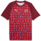 PUMA SFV Schweiz Aufwärmshirt 2026 Herren