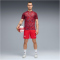 PUMA SFV Schweiz Aufwärmshirt 2026 Herren
