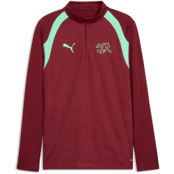 PUMA SFV Schweiz 1/4-Zip Trainings-Top 2026 Herren