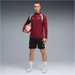 PUMA SFV Schweiz 1/4-Zip Trainings-Top 2026 Herren