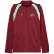 PUMA SFV Schweiz 1/4-Zip Trainings-Top 2026 Herren