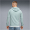 PUMA ÖFB Österreich King Hoodie Herren