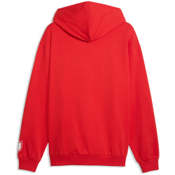 PUMA ÖFB Österreich ftblCulture Relaxed Hoodie Herren